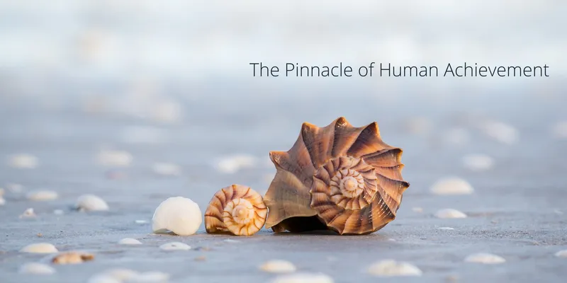 3 Shells Banner Update