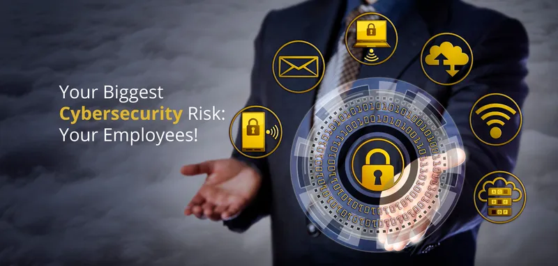 Cyber Security Consultant